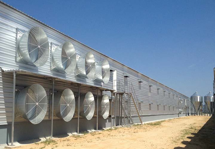 Steel Broiler House-1