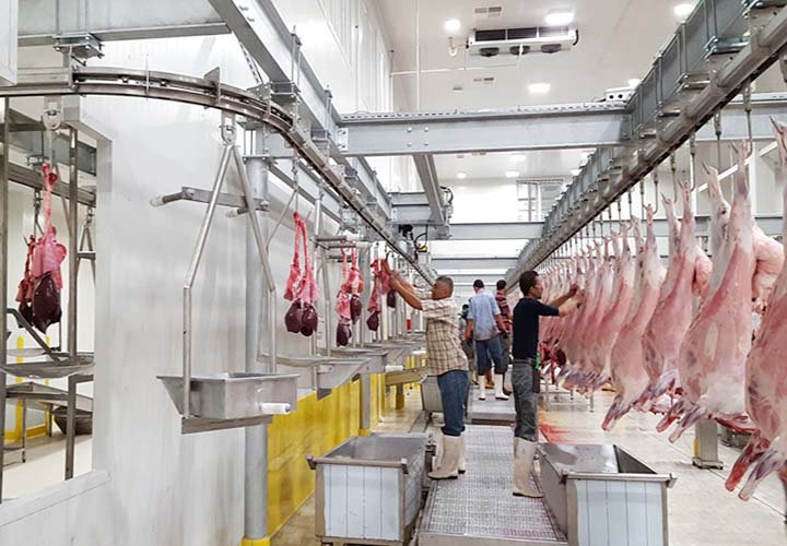 Steel Abattoir House-1