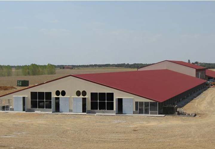 Steel Broiler House-3