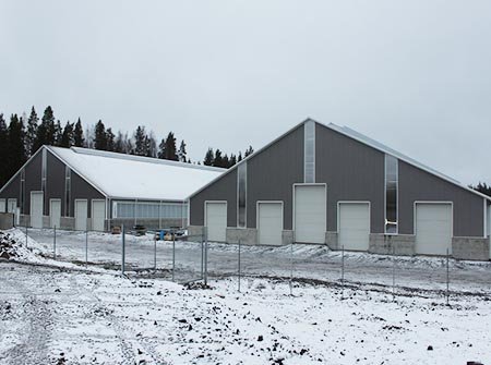 Poland Cow Shed Building