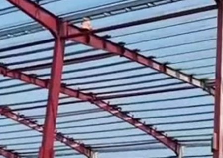 Steel structure installation